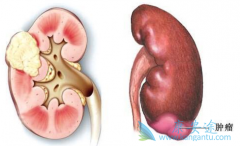 ��������/��̹��������������ʵ��1���޲�������