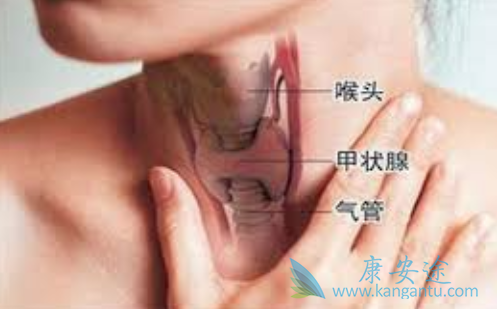 ��״�ٰ�֢״