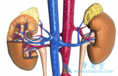 ����֢״�Ƚϵ�������Щ��?��������ԭ������Щ