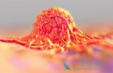 ��֢�����ܻ���