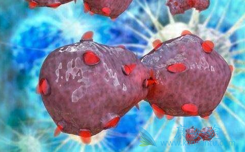 ��Ī¬����