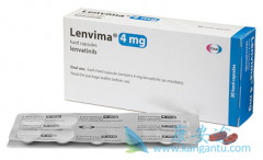 �ַ�����(lenvatinib)�����ӳ��ֻ��ͼ�״�ٰ����ߵ���������