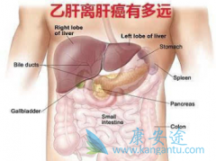 �Ҹα��濹�����Ժû��ǲ�����