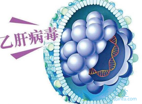 �Ҹα��濹��������ʲô