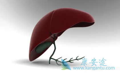 �Ҹα��濹������