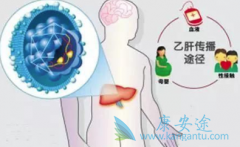 �ڽ����Ҹ������Ϊ�λ���ֱ��濹�����Ե�����