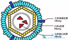 �й��Ҹβ���Я����Ϊ���⼸����ַ���֮��