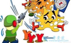 �Ҹβ���Я���߷�Ϊ���������ν�������