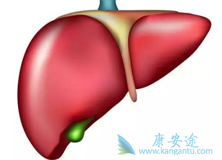 �Ҹβ���Я���ߴ�Ⱦ��