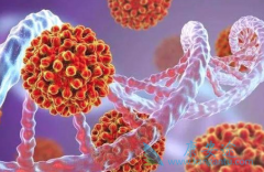 Ů���Ҹβ���Я����������������û��Ӱ��