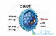 �˽��Ҹβ�������;�����ܸ��õĽ���Ԥ������