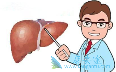 什么是乙肝病毒携带者 什么是乙肝病毒携带者