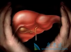 �Ҹ�С������������С��������ܹ��κ�