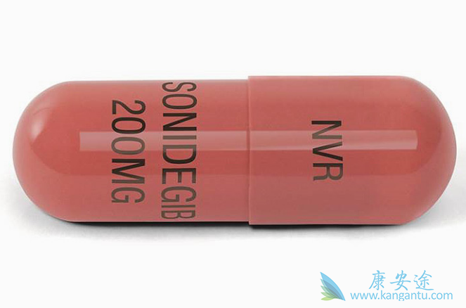 索尼德吉 索尼德吉