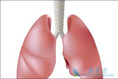 �ΰ����Ʒ�����Ҫ���ļ��֣�����ЩЧ����