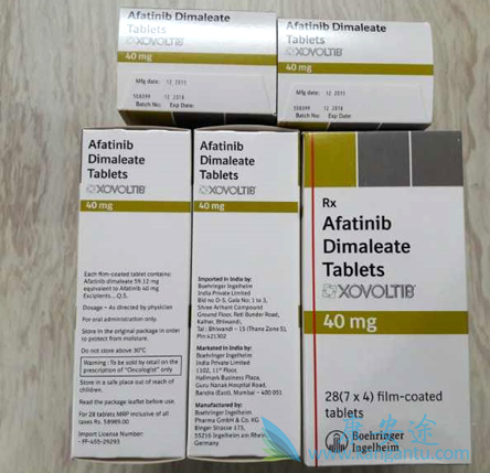 阿法替尼 阿法替尼