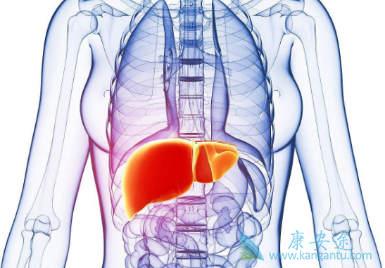 索拉非尼 索拉非尼