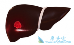 ������(STIVARGA)�ܷ�������������Ϊ���ڸΰ�һ����ҩ