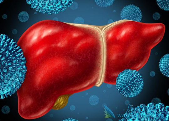 ���ο���