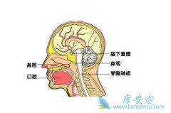 ���ʰ�֢״����Щ�����˱��ʰ���ʳ��Ҫע��ʲô��