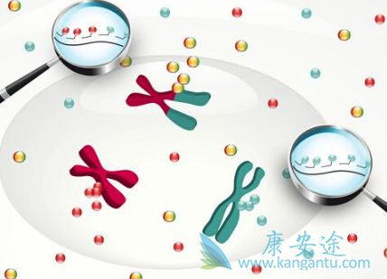 泰国试管婴儿成功率 泰国试管婴儿成功率