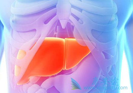 ������Ҫ������