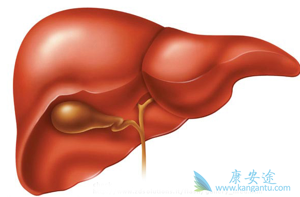 �����д�Ⱦ��