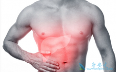 ���������κñ������µı������Ʒ�������Щ��