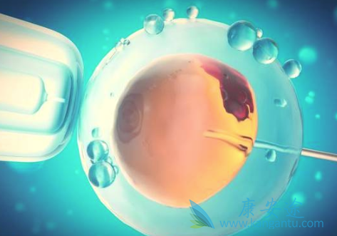 试管婴儿价格 试管婴儿价格