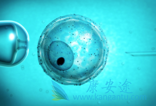 试管婴儿的费用 试管婴儿的费用