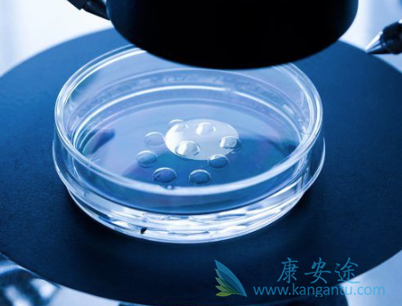 试管婴儿的费用 试管婴儿的费用