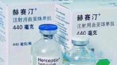 �����鵥��(Herceptin)���Ƶ�HER 2���ٰ�����û��Ч��
