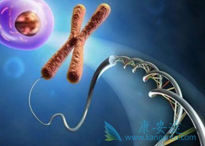 海外试管婴儿 海外试管婴儿