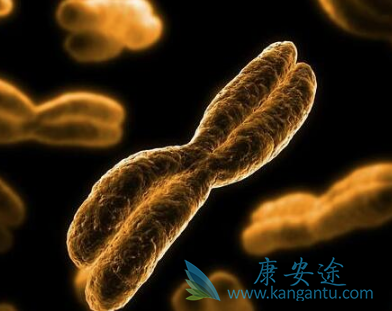 试管婴儿移植后 试管婴儿移植后