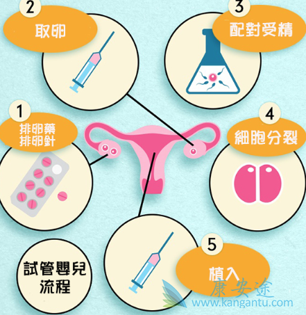 试管婴儿移植后14天 试管婴儿移植后14天