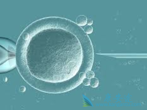 试管婴儿移植后14天 试管婴儿移植后14天