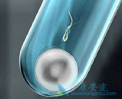 试管婴儿移植后14天 试管婴儿移植后14天