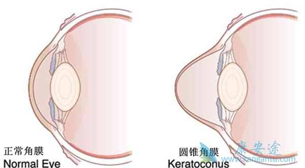 海外医疗 海外医疗