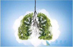 �ΰ����Ƶĸ���������Щ������λ��������еķΰ����ˣ�