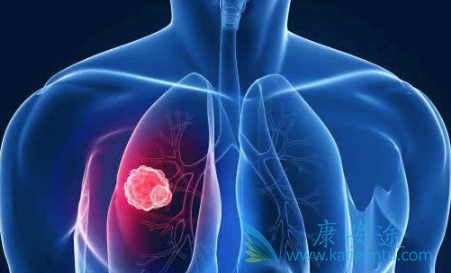 �ΰ����ڻ��ܻ���