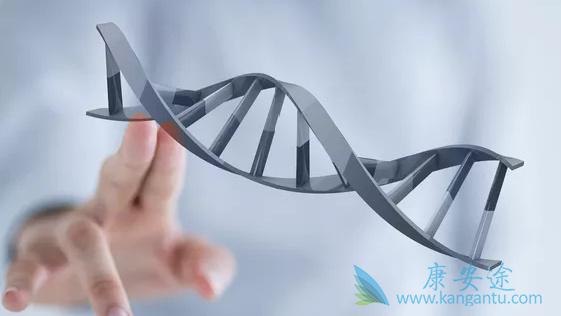 海外医疗 海外医疗