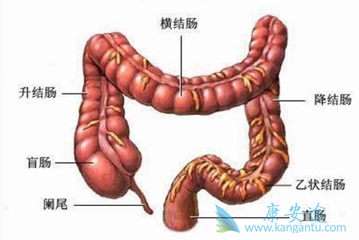 卡培他滨 卡培他滨