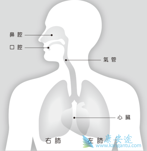 �ΰ����ڳ�ʲô��