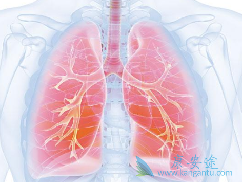 �ΰ���������