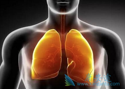 肺癌晚期化疗 肺癌晚期化疗