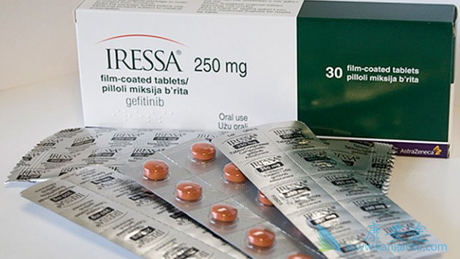 易瑞沙说明书 易瑞沙说明书