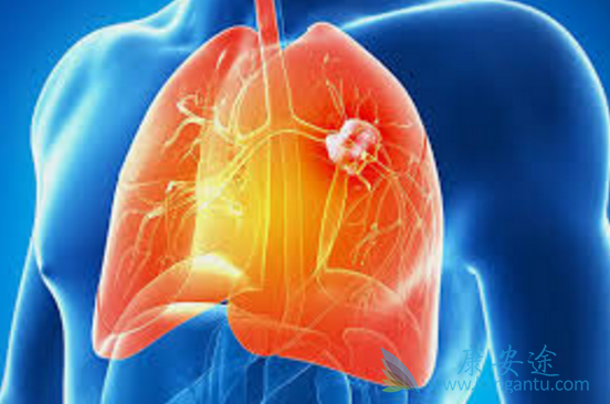 色瑞替尼 色瑞替尼