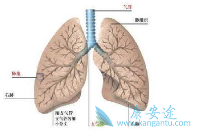 �ΰ�����������