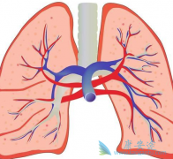 �ΰ��������������Ʒΰ���Ҫ��������Щ