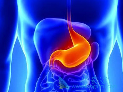 雷莫芦单抗 雷莫芦单抗